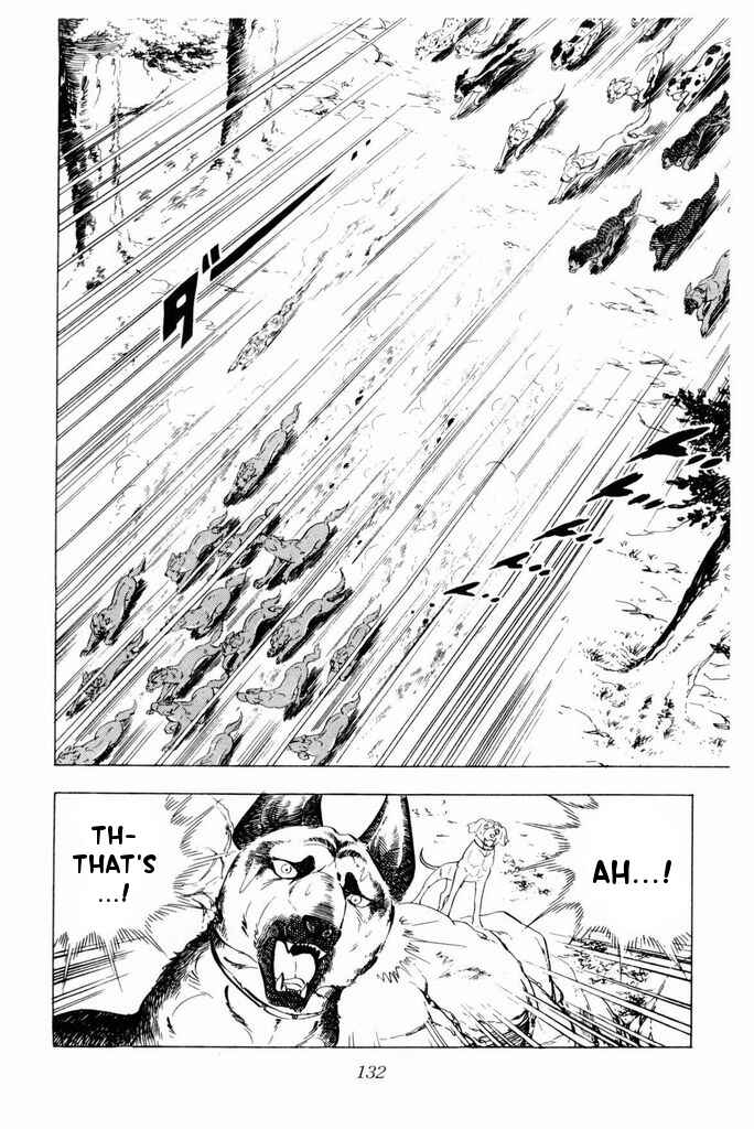 Page 25 Chapter 22 Silver Fang – The Shooting Star Gin –