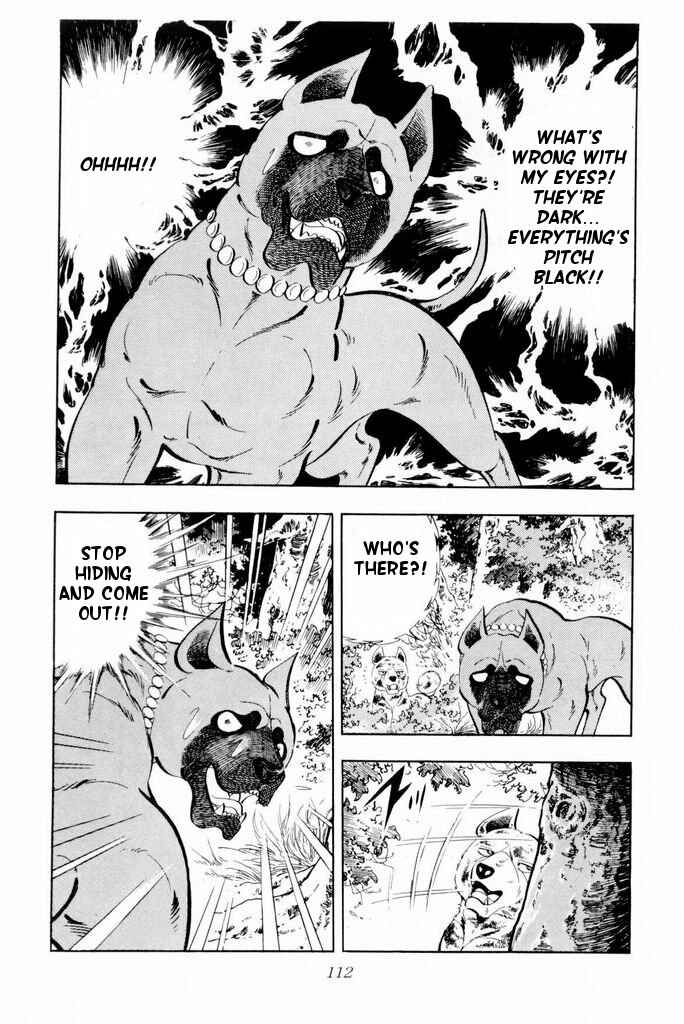 Page 8 Chapter 22 Silver Fang – The Shooting Star Gin –