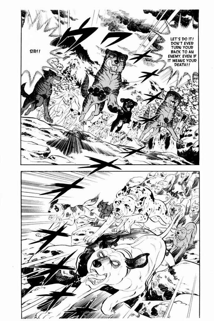 Page 22 Chapter 17 Silver Fang – The Shooting Star Gin –