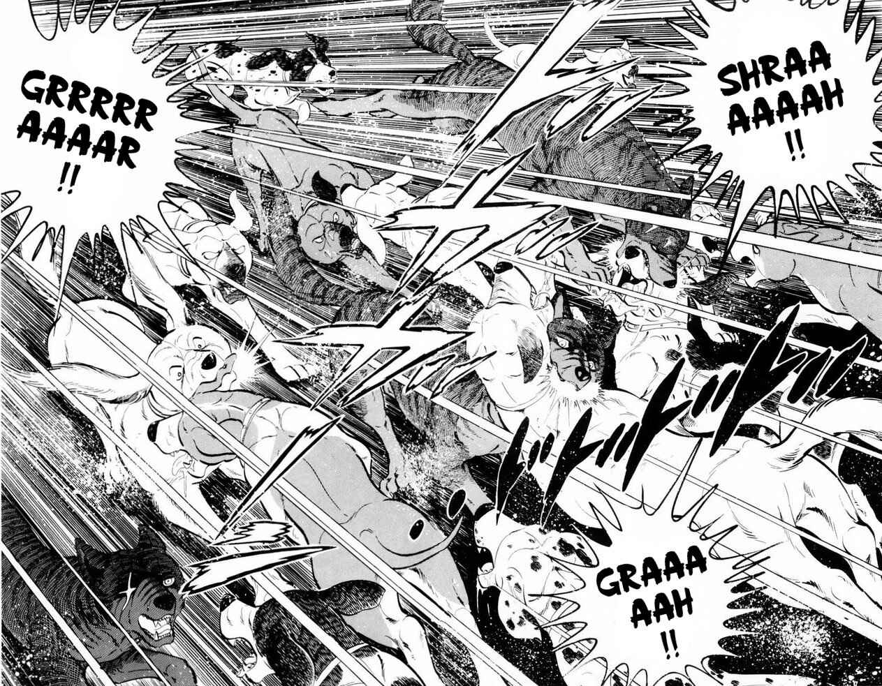 Page 25 Chapter 17 Silver Fang – The Shooting Star Gin –