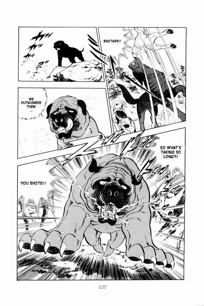 Page 29 Chapter 17 Silver Fang – The Shooting Star Gin –