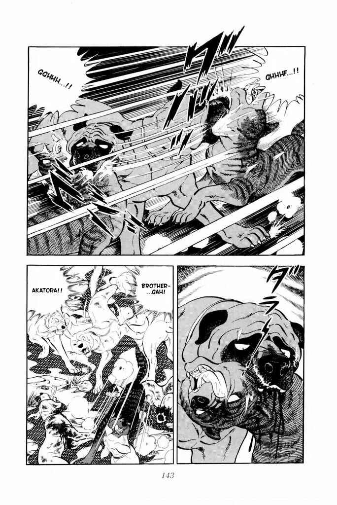 Page 35 Chapter 17 Silver Fang – The Shooting Star Gin –
