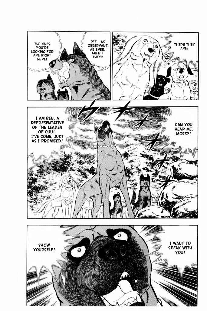 Page 4 Chapter 17 Silver Fang – The Shooting Star Gin –