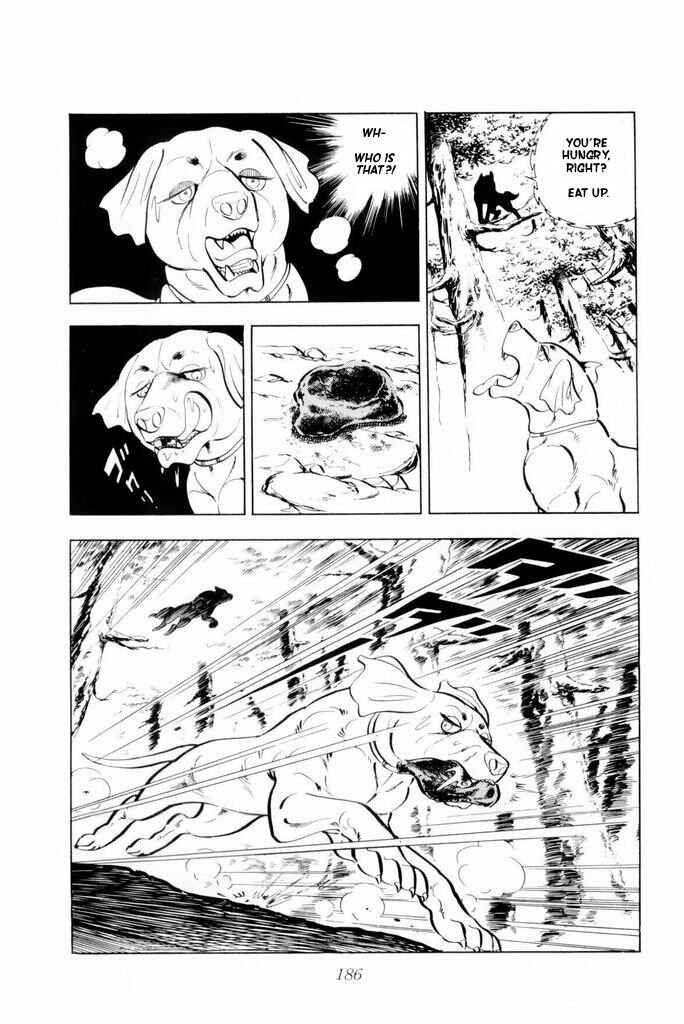 Page 77 Chapter 17 Silver Fang – The Shooting Star Gin –