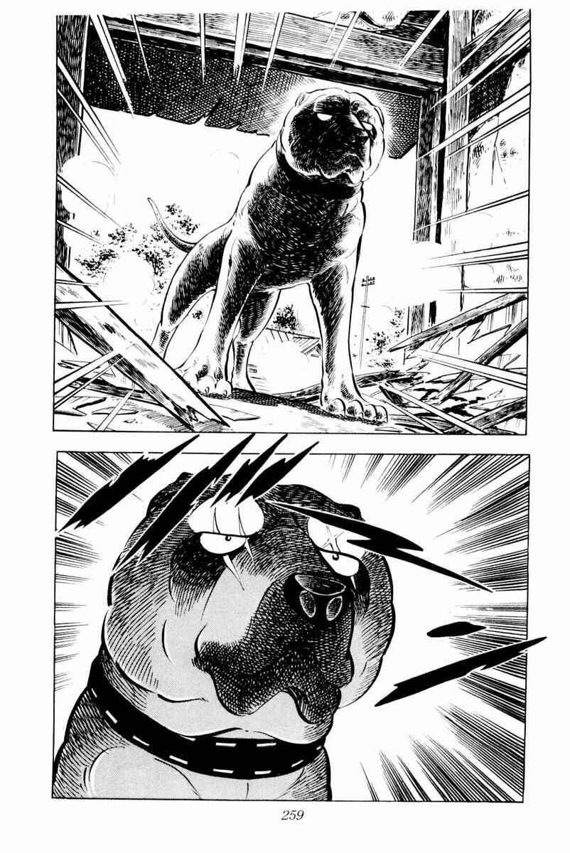 Page 15 Chapter 30 Silver Fang – The Shooting Star Gin –