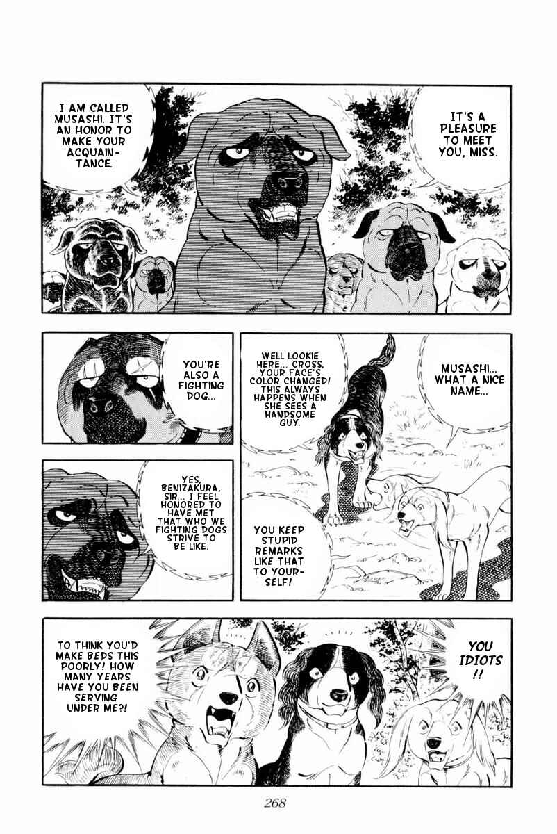 Page 24 Chapter 30 Silver Fang – The Shooting Star Gin –