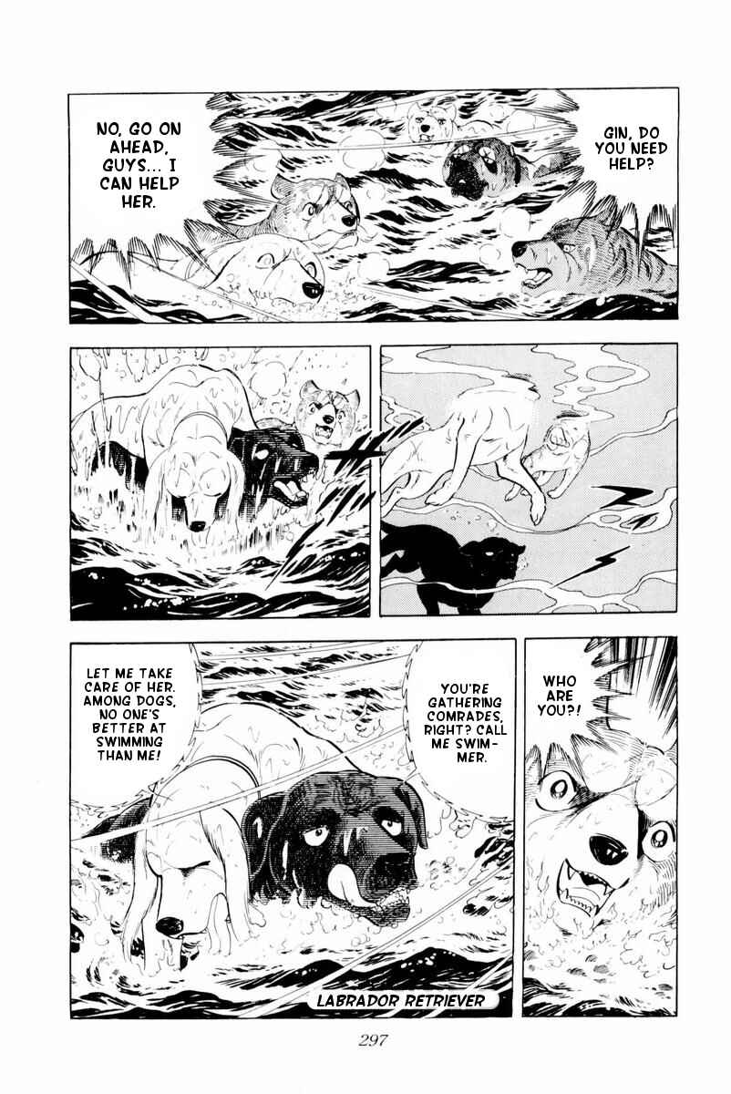 Page 51 Chapter 30 Silver Fang – The Shooting Star Gin –