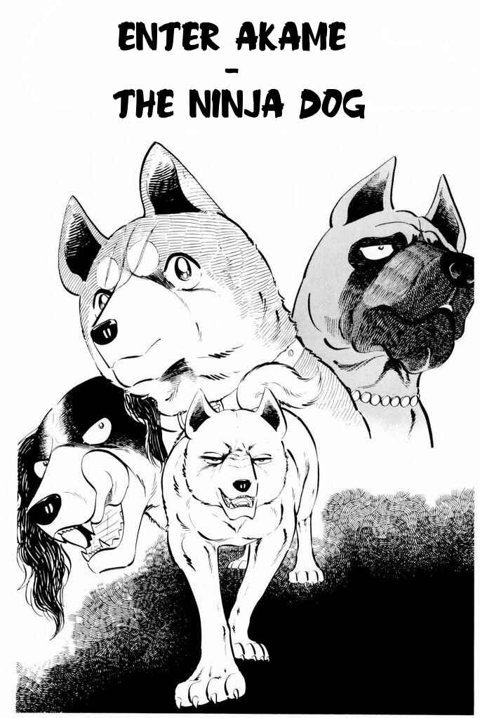 Page 1 Chapter 19 Silver Fang – The Shooting Star Gin –