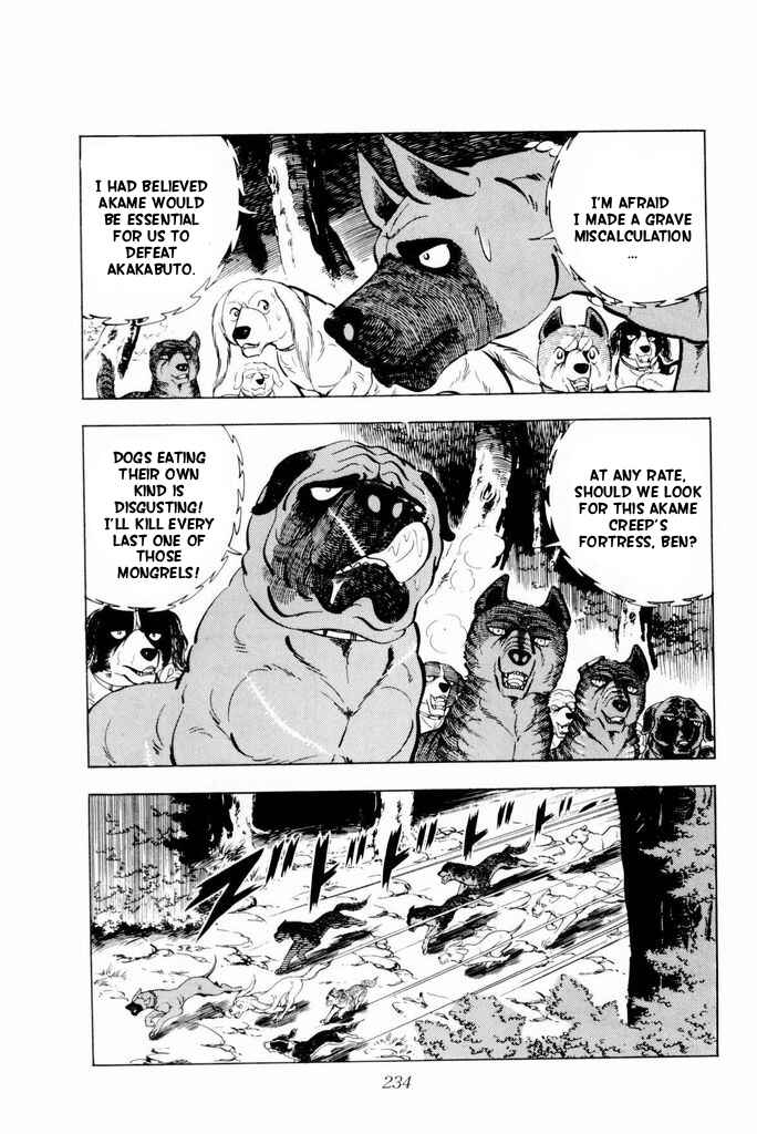 Page 13 Chapter 19 Silver Fang – The Shooting Star Gin –