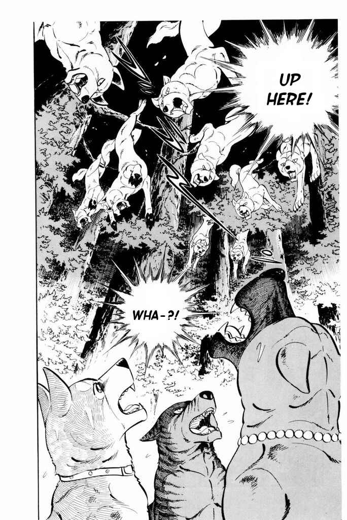 Page 25 Chapter 19 Silver Fang – The Shooting Star Gin –