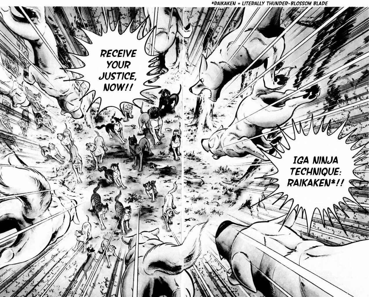 Page 27 Chapter 19 Silver Fang – The Shooting Star Gin –