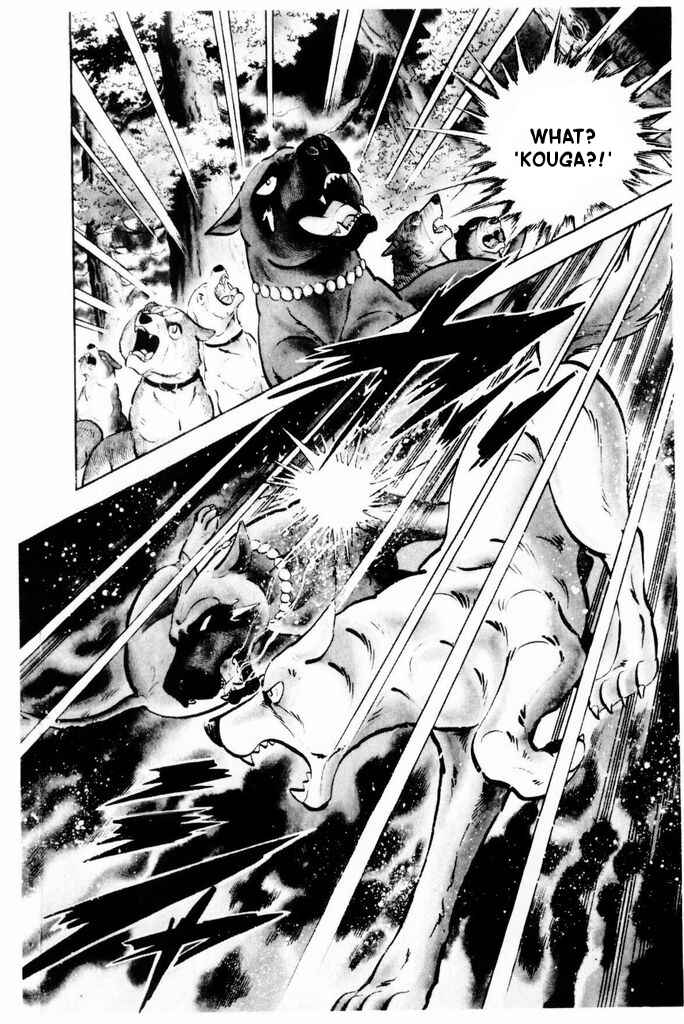 Page 28 Chapter 19 Silver Fang – The Shooting Star Gin –