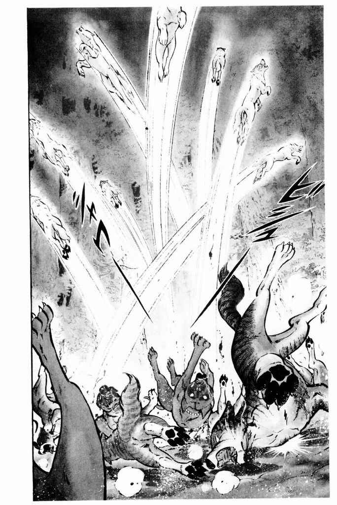 Page 30 Chapter 19 Silver Fang – The Shooting Star Gin –