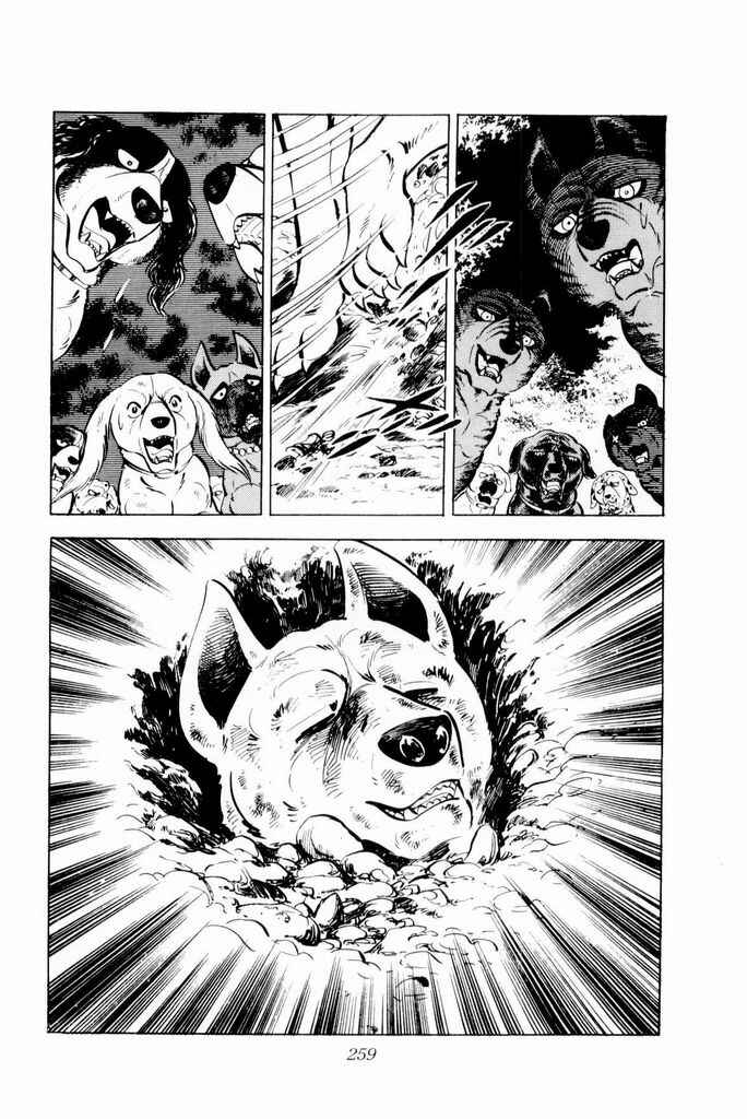 Page 37 Chapter 19 Silver Fang – The Shooting Star Gin –