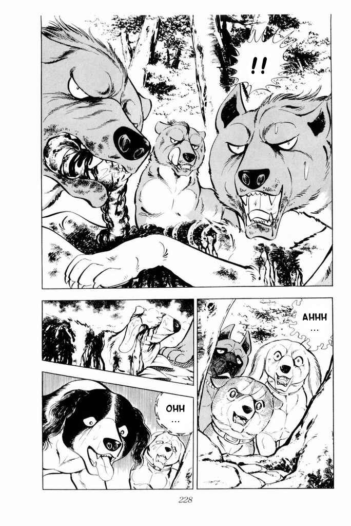 Page 7 Chapter 19 Silver Fang – The Shooting Star Gin –