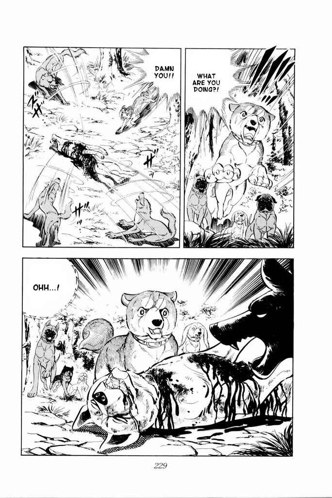Page 8 Chapter 19 Silver Fang – The Shooting Star Gin –