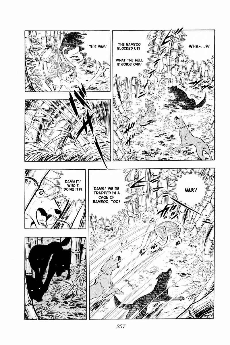 Page 11 Chapter 45 Silver Fang – The Shooting Star Gin –
