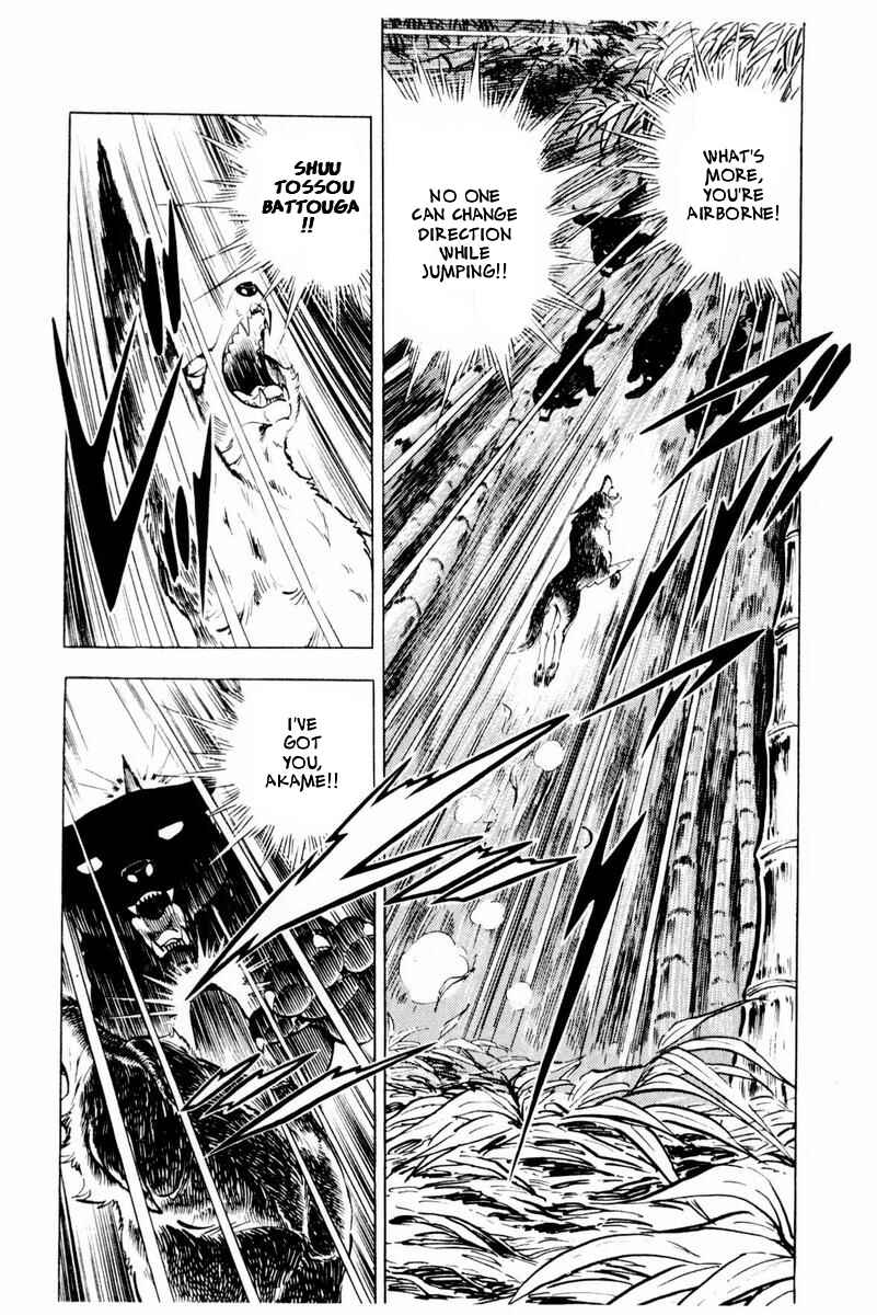Page 32 Chapter 45 Silver Fang – The Shooting Star Gin –