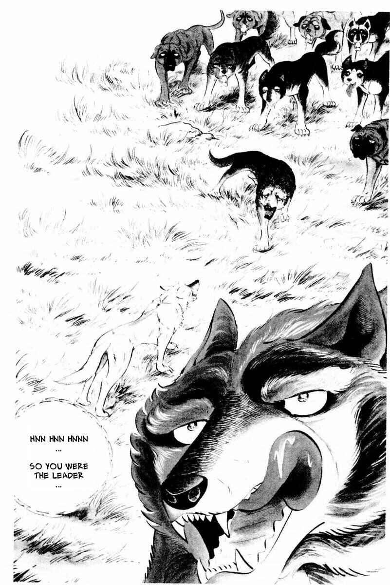 Page 44 Chapter 45 Silver Fang – The Shooting Star Gin –