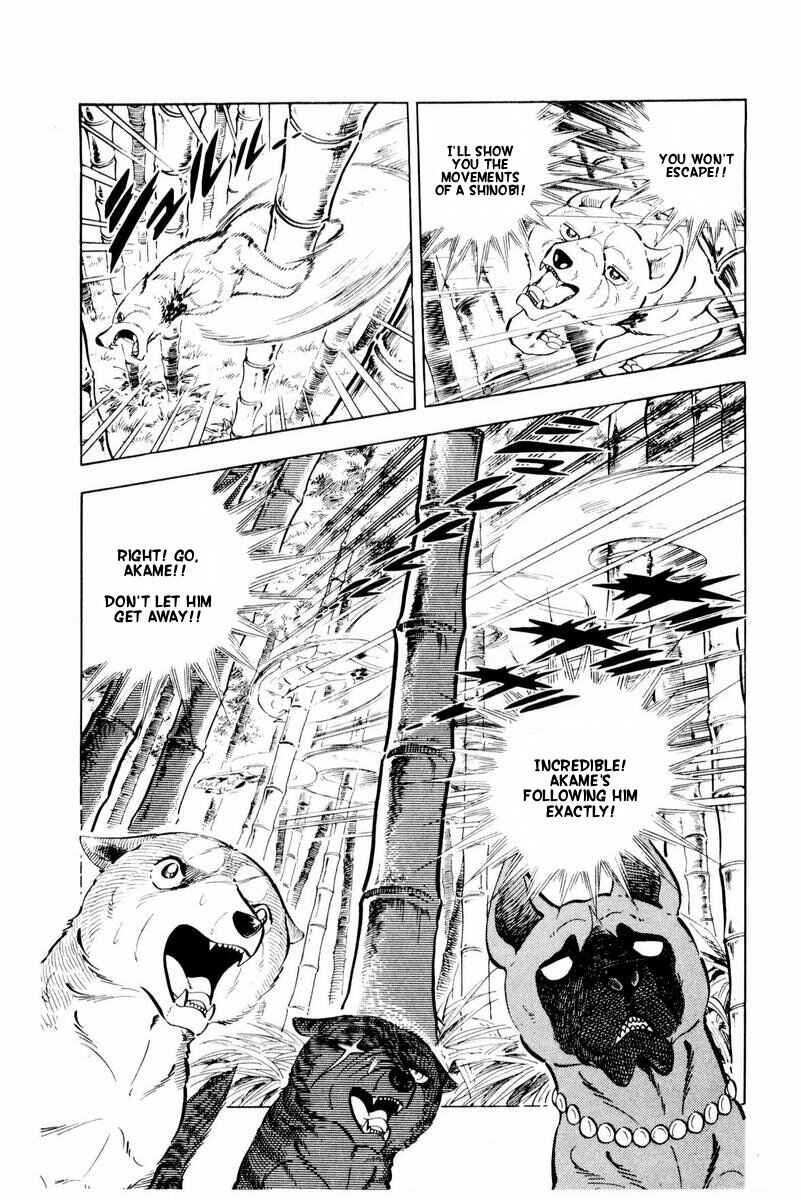 Page 5 Chapter 45 Silver Fang – The Shooting Star Gin –