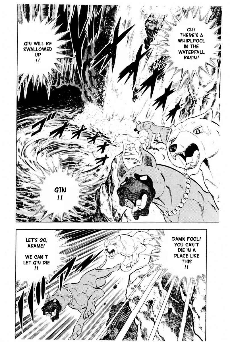 Page 66 Chapter 45 Silver Fang – The Shooting Star Gin –