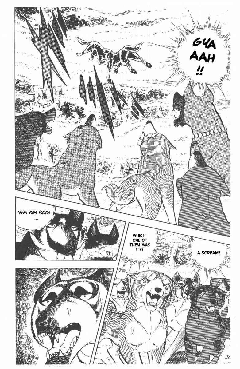 Page 33 Chapter 49 Silver Fang – The Shooting Star Gin –