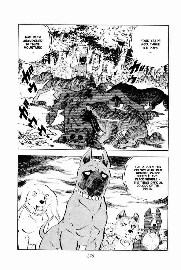 Page 10 Chapter 13 Silver Fang – The Shooting Star Gin –