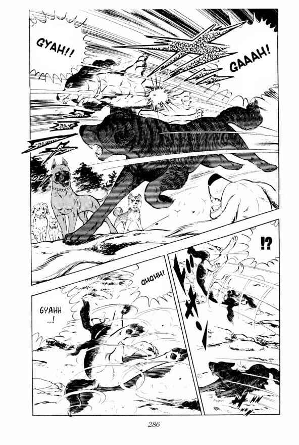 Page 17 Chapter 13 Silver Fang – The Shooting Star Gin –