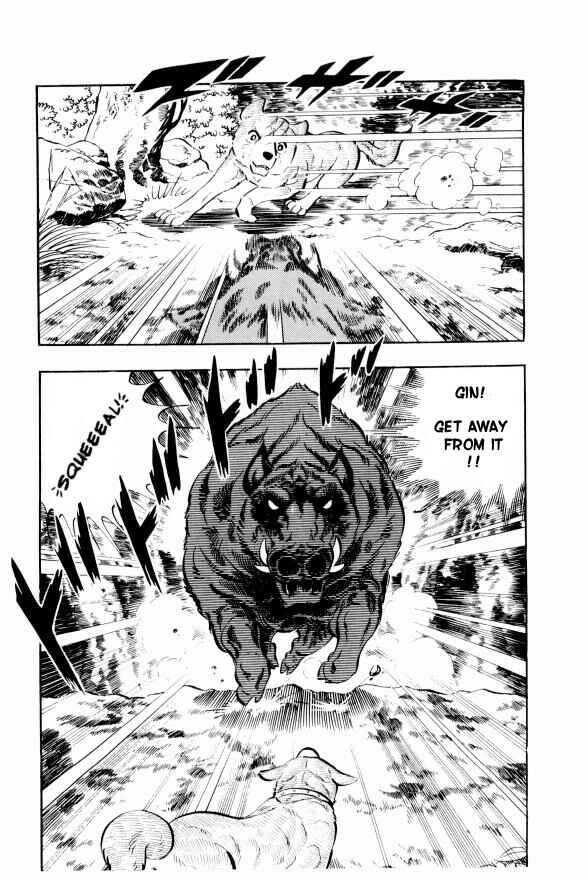 Page 5 Chapter 13 Silver Fang – The Shooting Star Gin –
