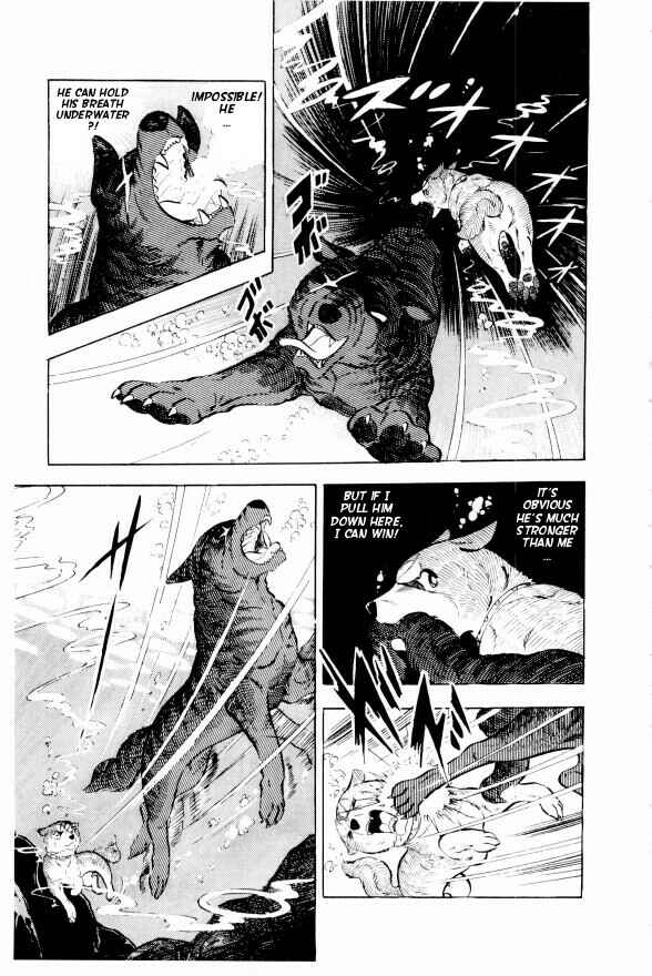 Page 52 Chapter 13 Silver Fang – The Shooting Star Gin –