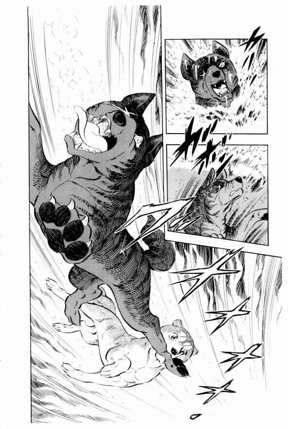Page 53 Chapter 13 Silver Fang – The Shooting Star Gin –