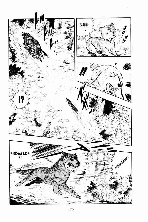 Page 7 Chapter 13 Silver Fang – The Shooting Star Gin –