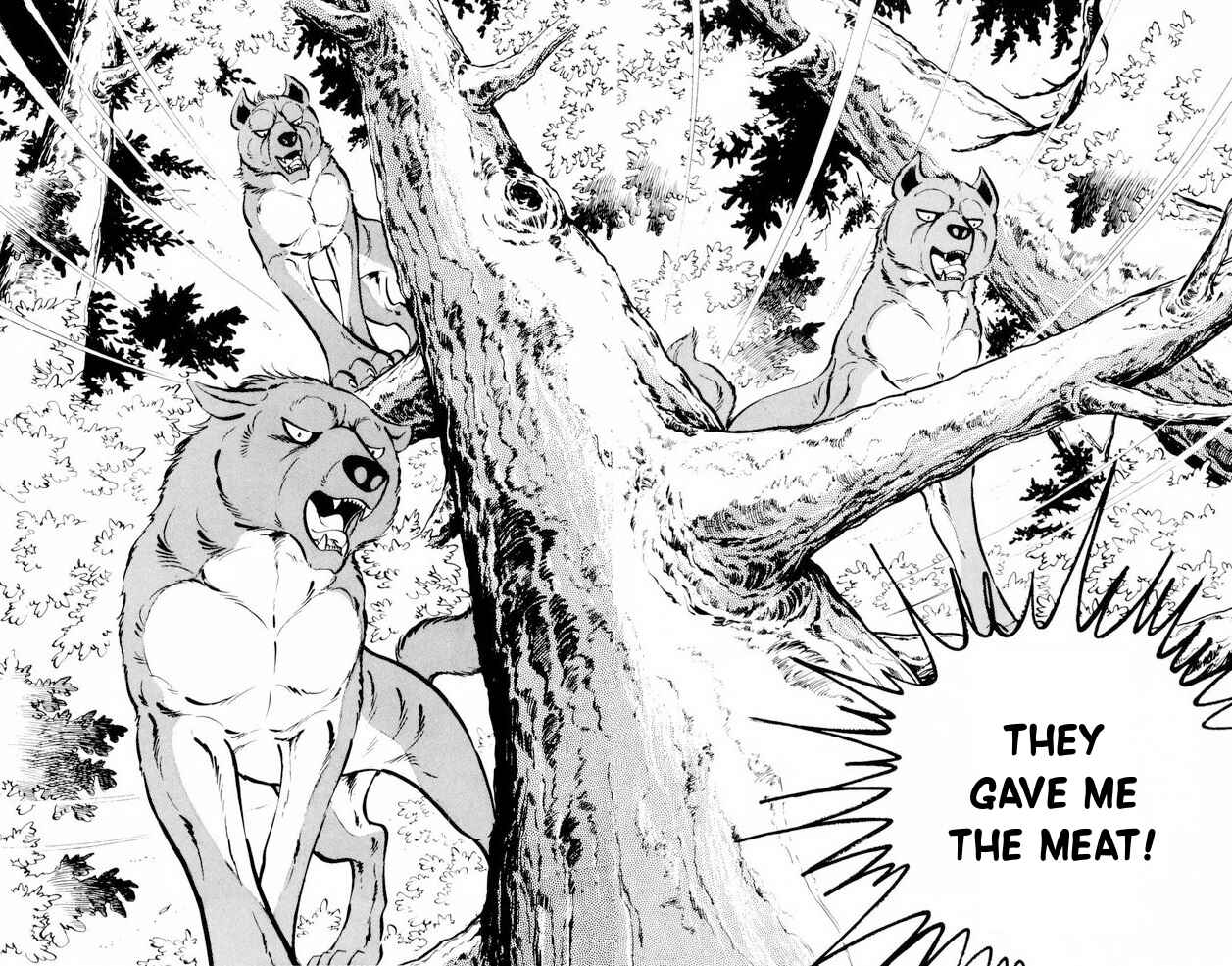 Page 21 Chapter 18 Silver Fang – The Shooting Star Gin –