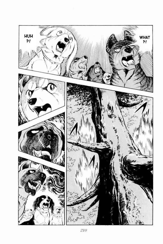 Page 22 Chapter 18 Silver Fang – The Shooting Star Gin –