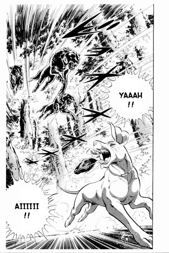 Page 4 Chapter 18 Silver Fang – The Shooting Star Gin –
