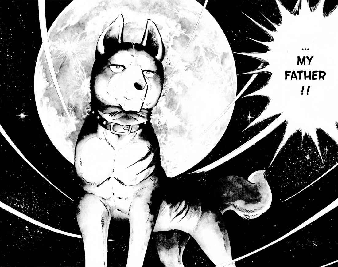 Page 8 Chapter 11 Silver Fang – The Shooting Star Gin –