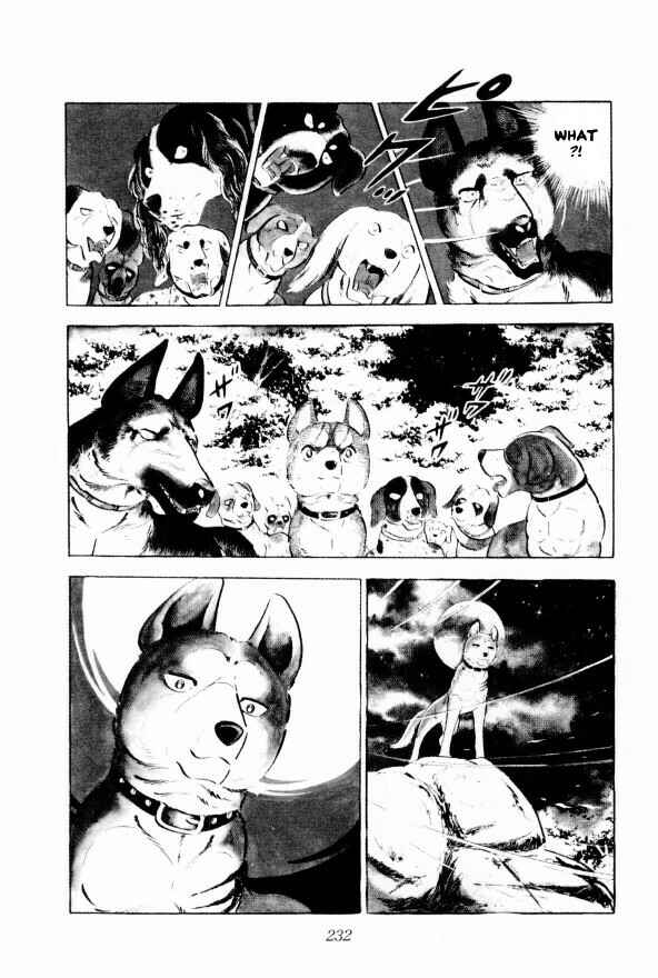 Page 9 Chapter 11 Silver Fang – The Shooting Star Gin –