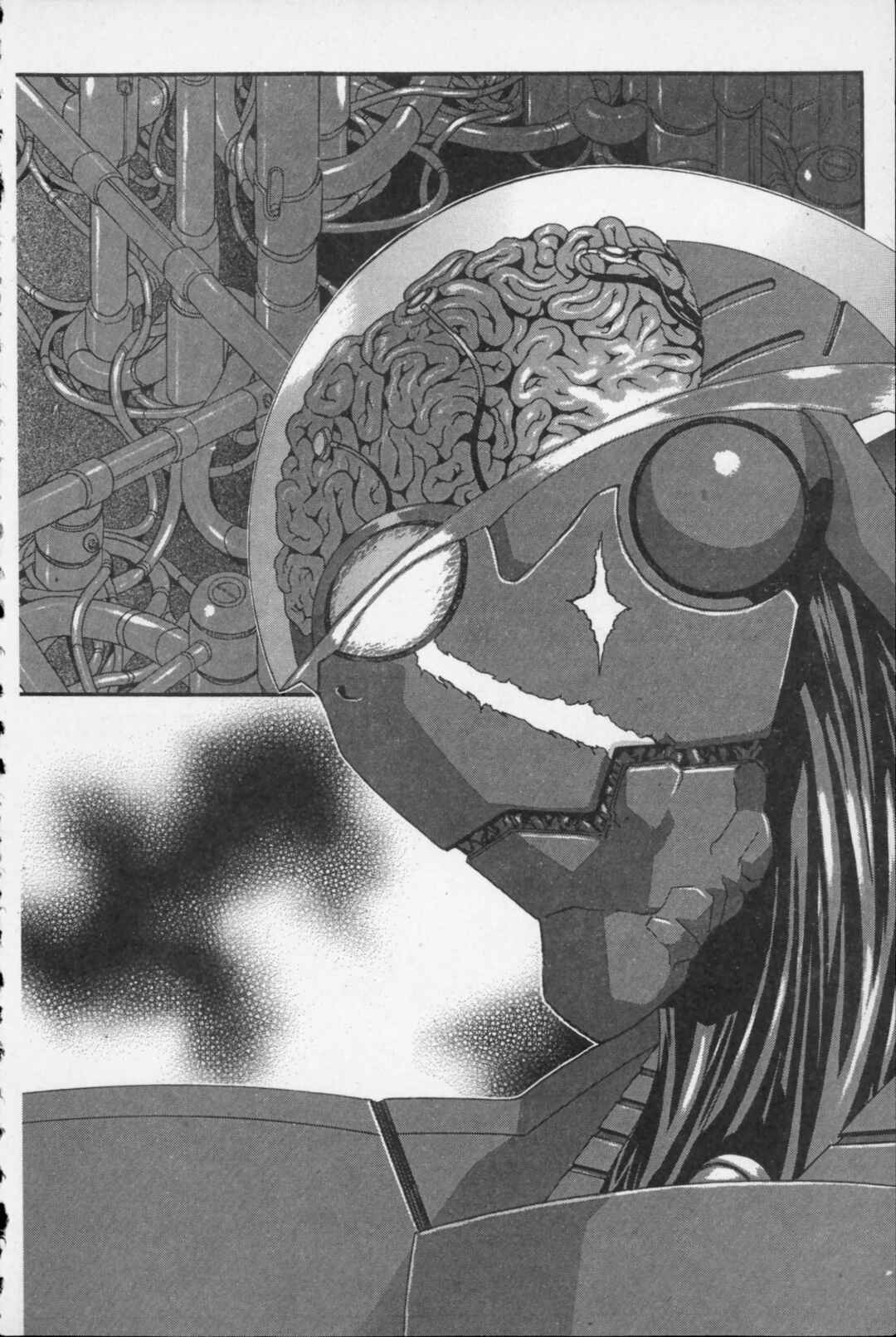 Page 17 Chapter 10 Kikaider 02