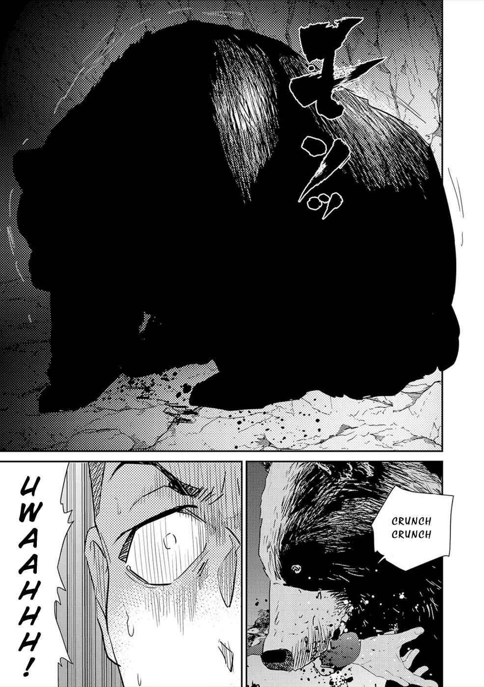 Page 30 Chapter 4 Diestrammena