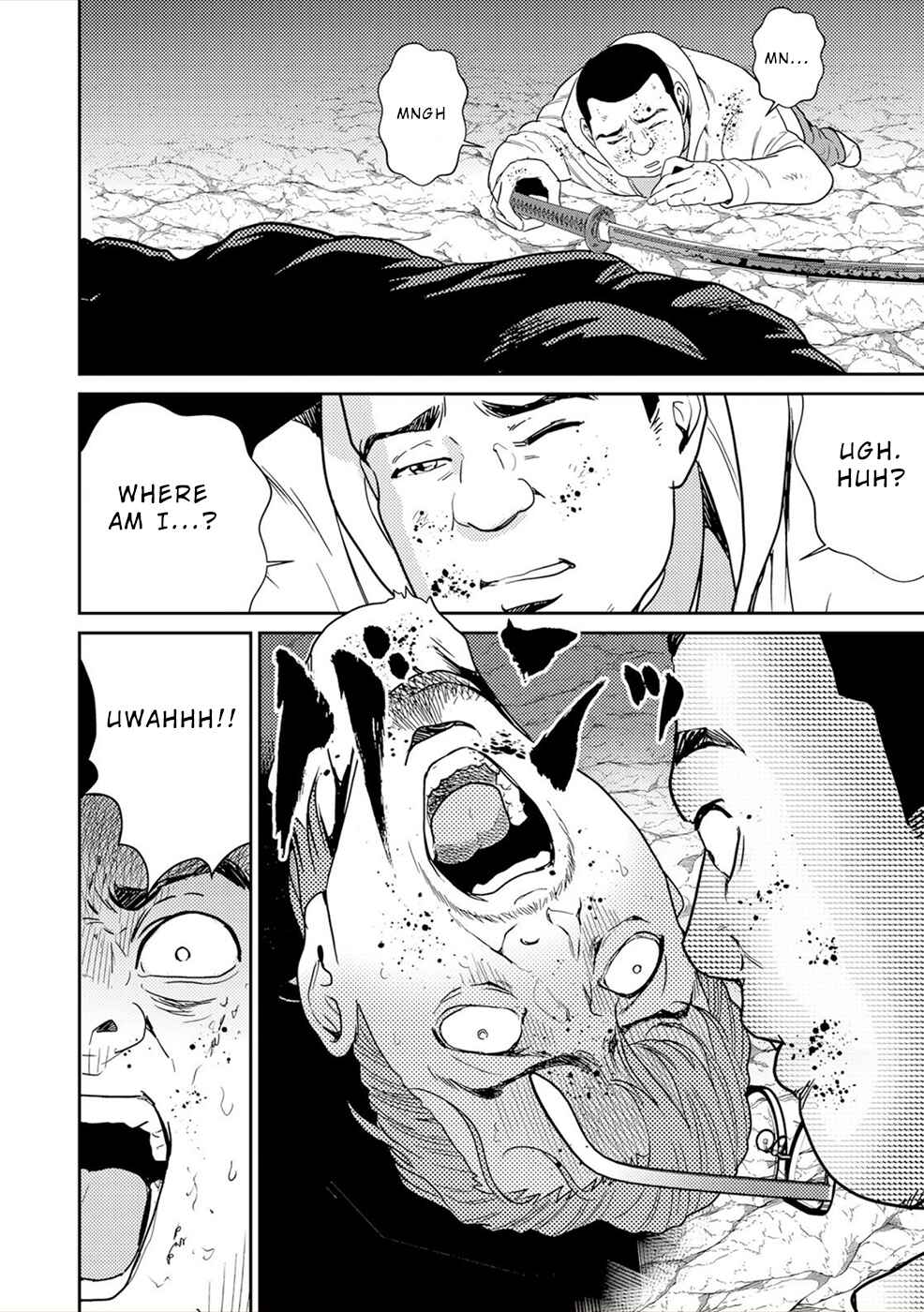 Page 29 Chapter 3 Diestrammena