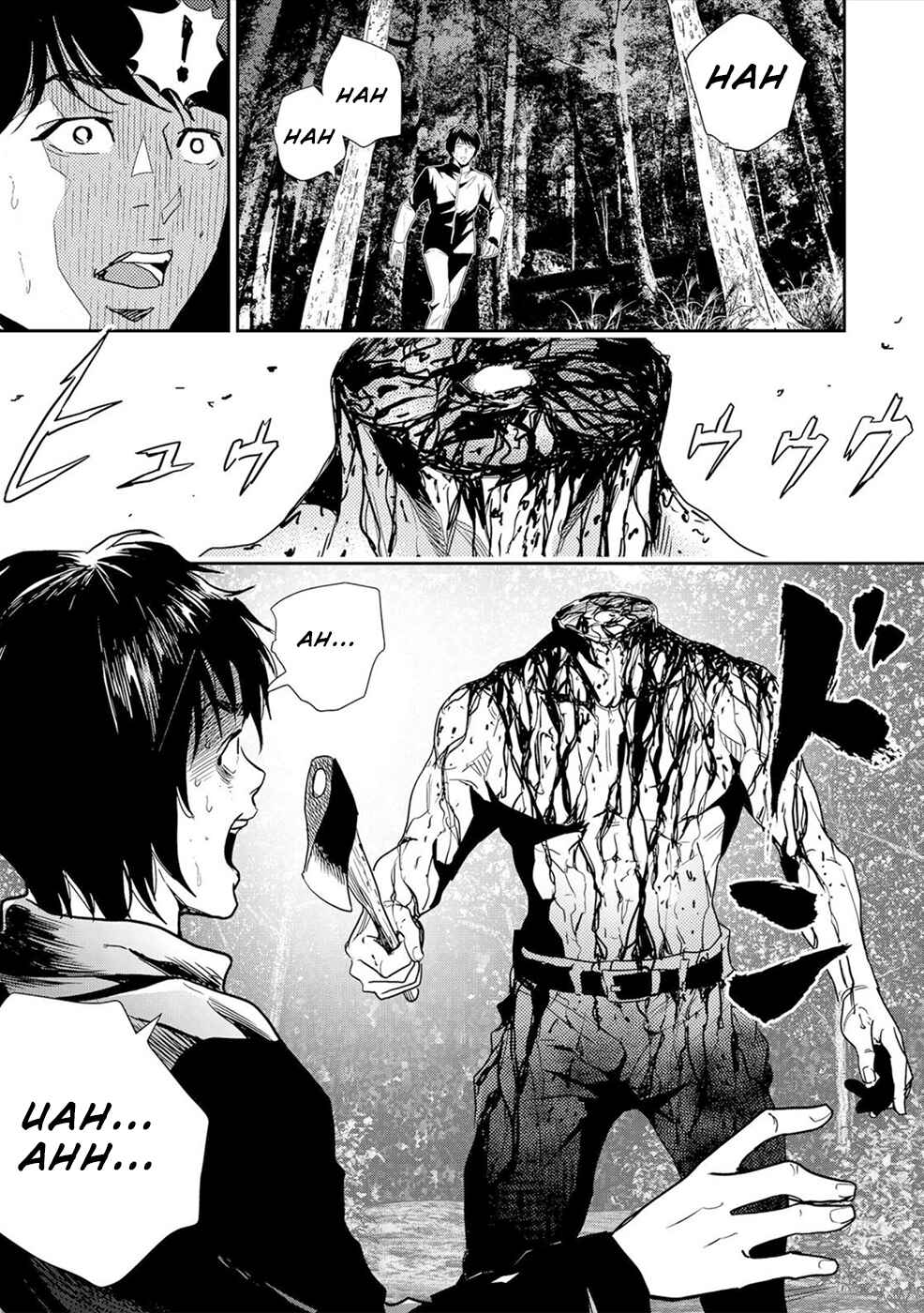 Page 2 Chapter 1 Diestrammena