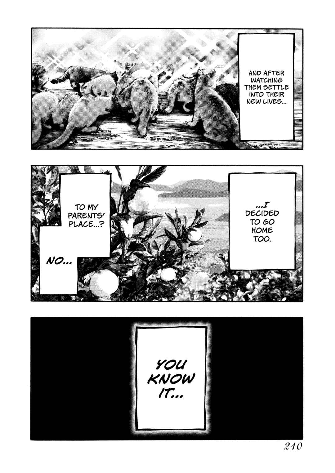 Page 17 Chapter 67 Kippo