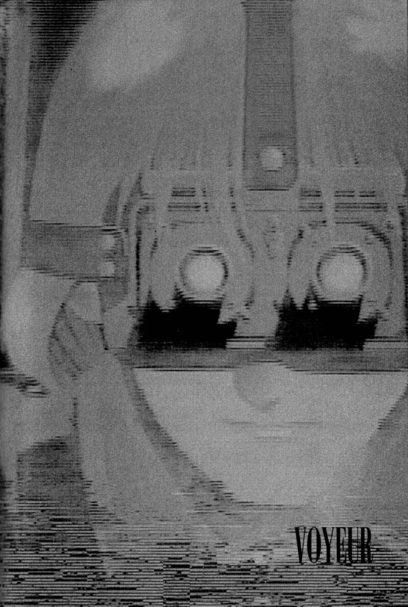 Page 3 Chapter 1 Voyeur