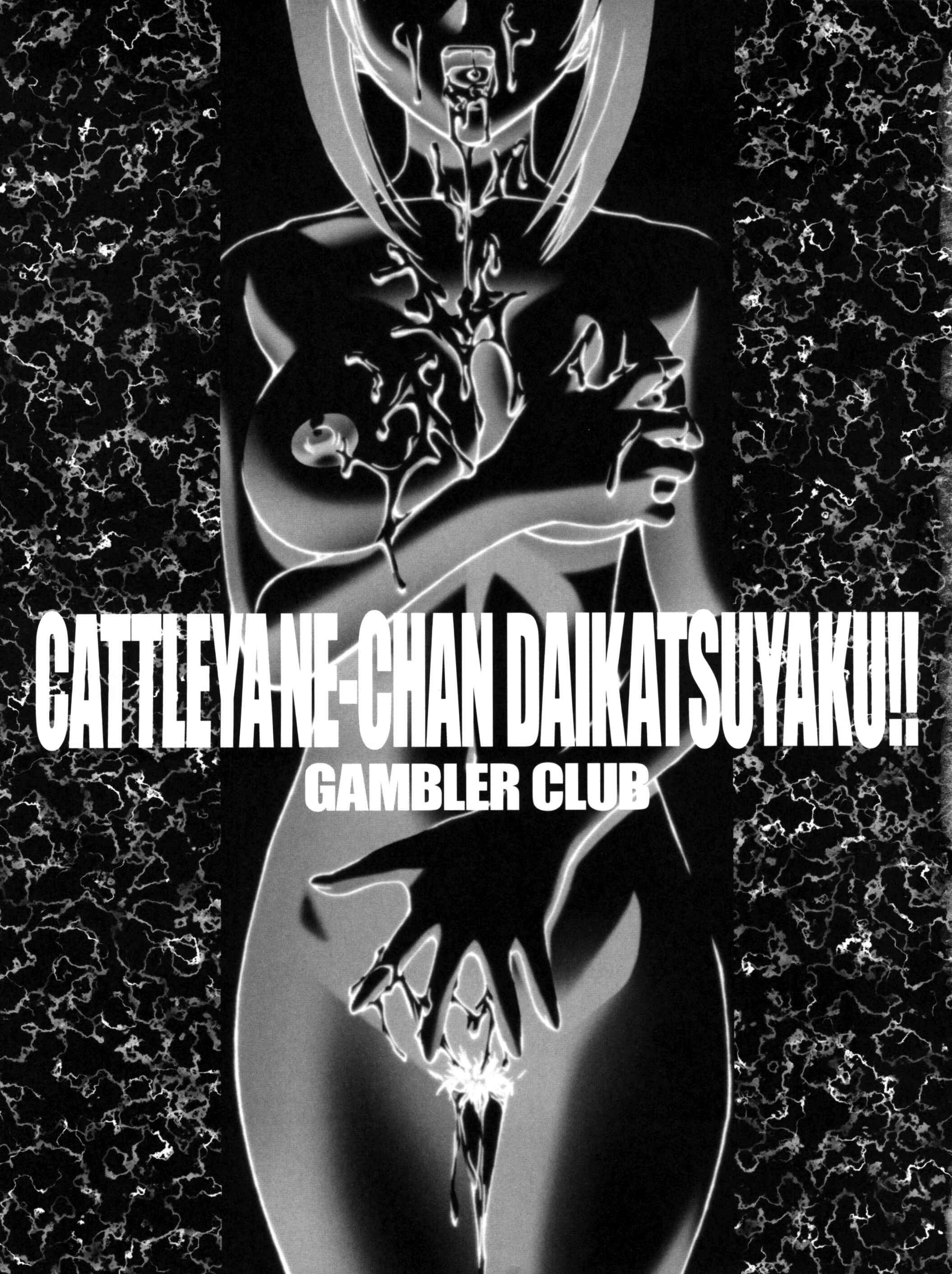 Page 3 Chapter Unknown_a26f Groove Adventure Rave - Cattleya Nee-chan Daikatsuyaku!!
