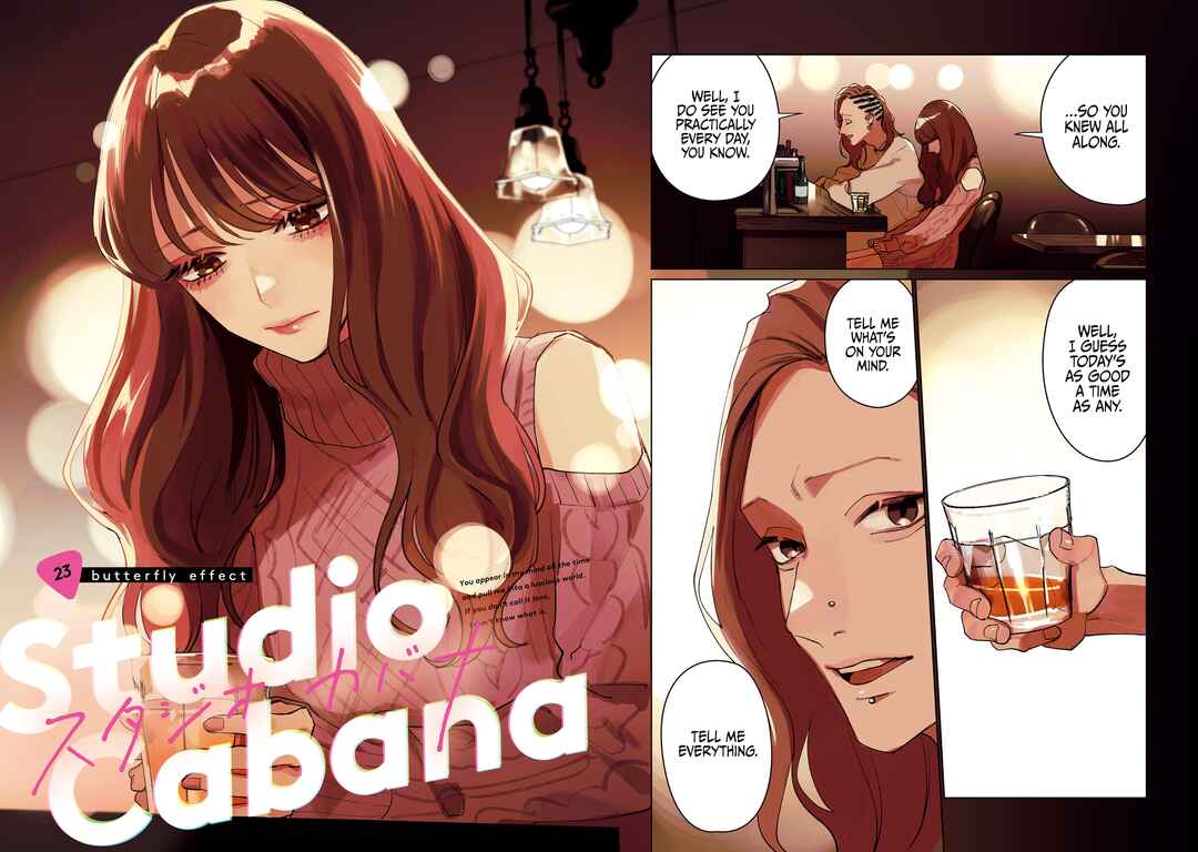 Page 5 Chapter 23 Studio Cabana