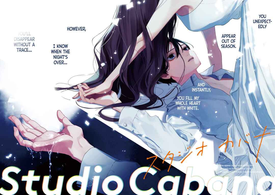 Page 5 Chapter 5 Studio Cabana
