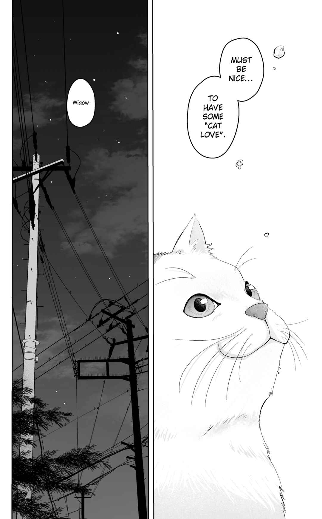 Page 16 Chapter Unknown_cf34 Hito no Koi to Neko no Koi no