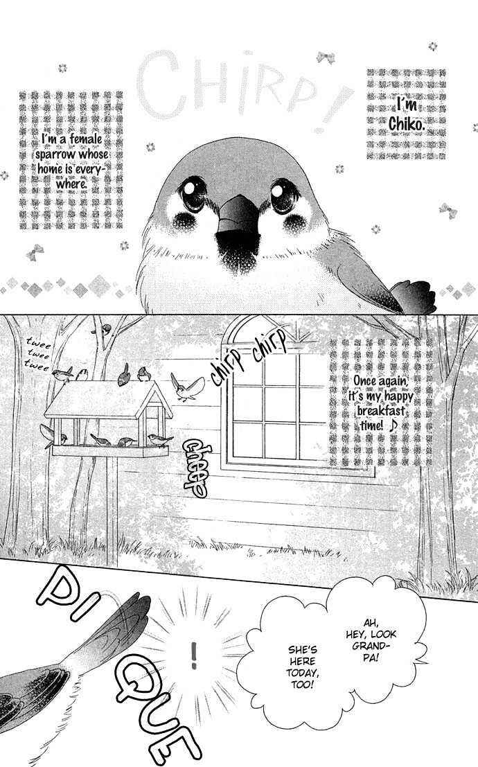 Page 6 Chapter 1 Chikos Wish