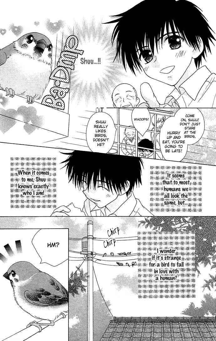Page 7 Chapter 1 Chikos Wish