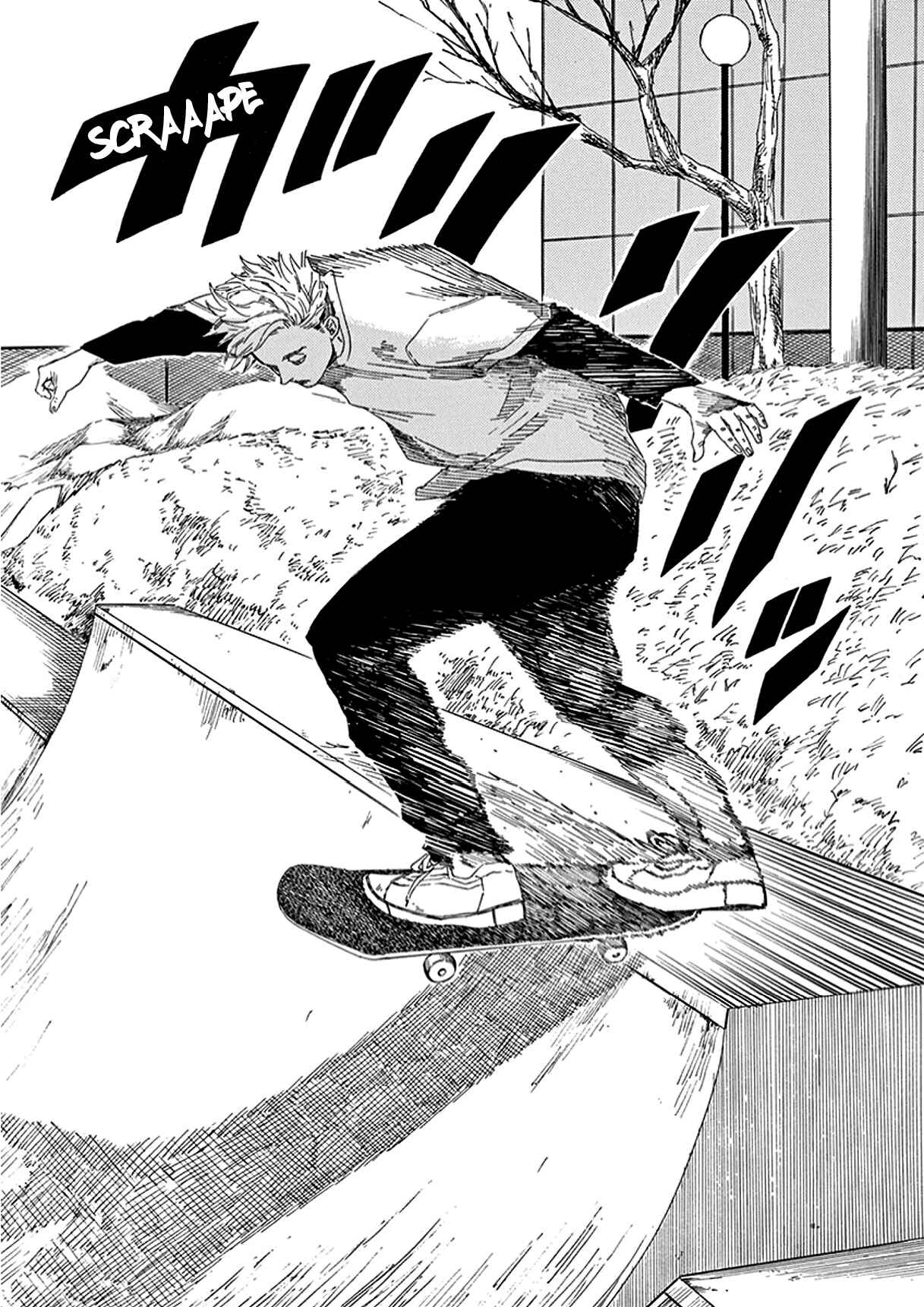 Page 13 Chapter 5 SK8RS
